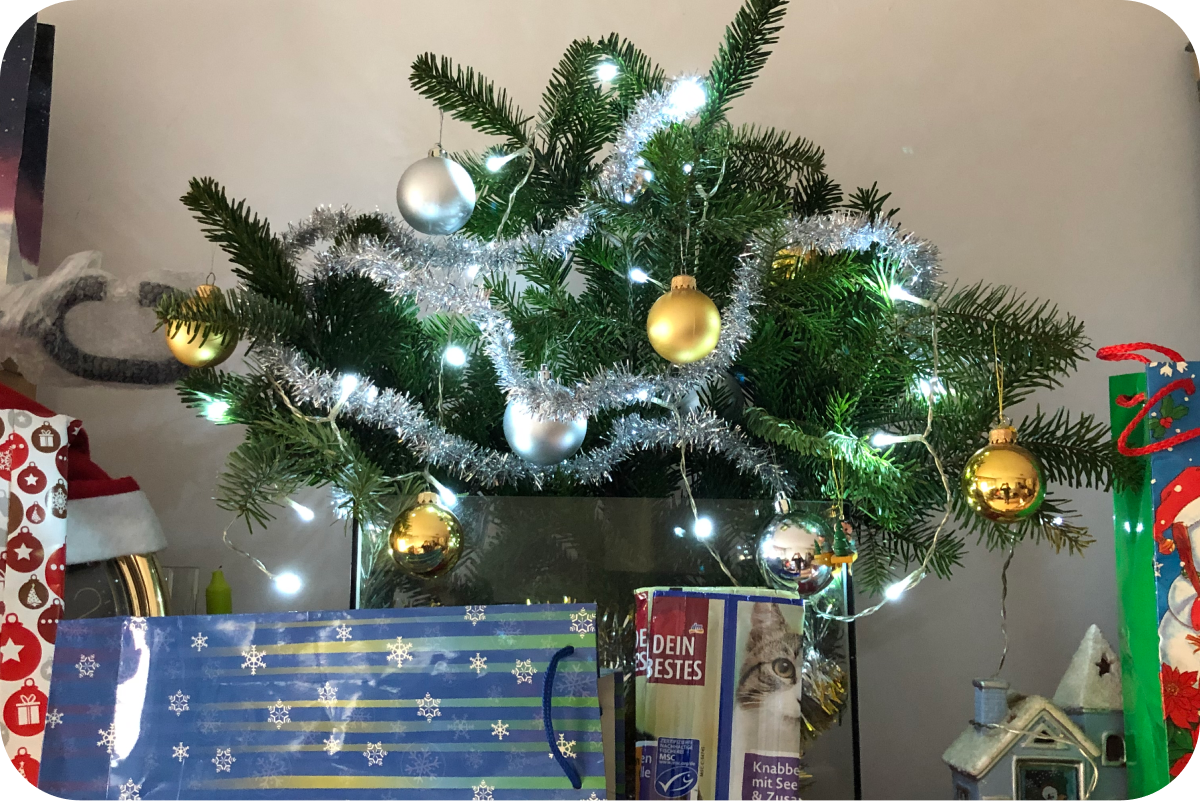 Decorated Christmas Tree Branches